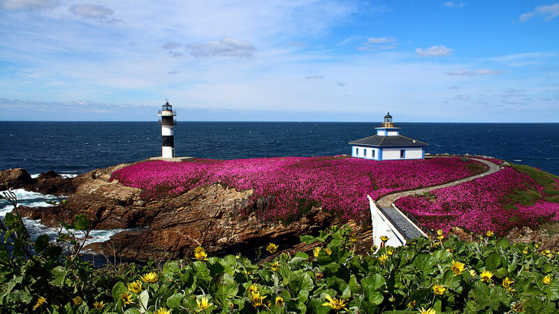 Lighthouse on Flower-covered Rock