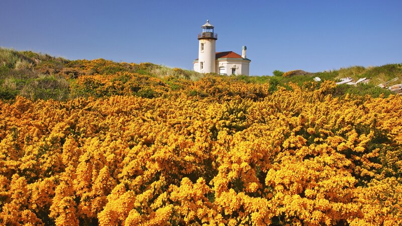 Lighthouse on Hillside — Yellow, Serene