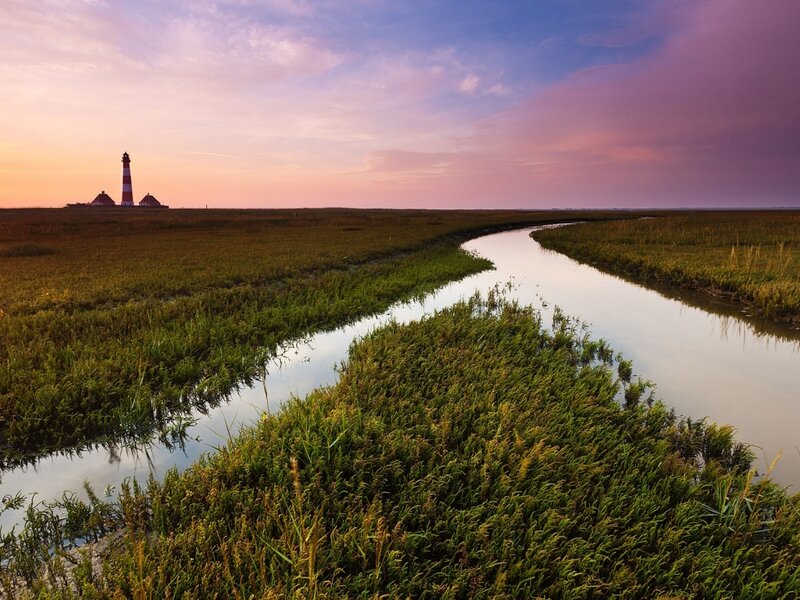 Lighthouse on Marshland