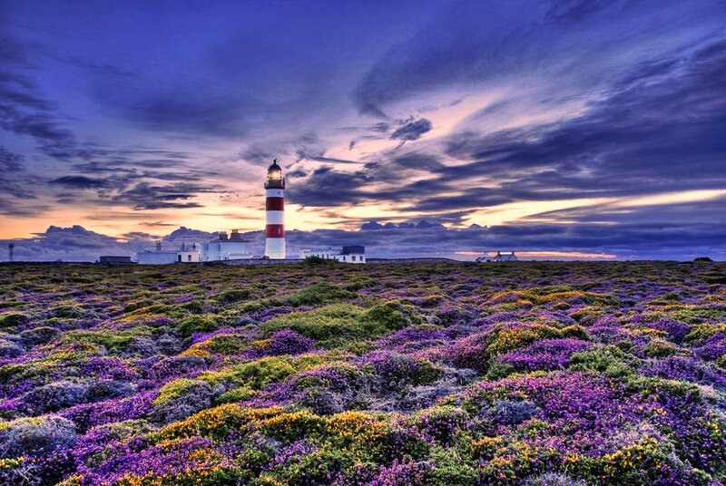 Lighthouse on Purple Moor
