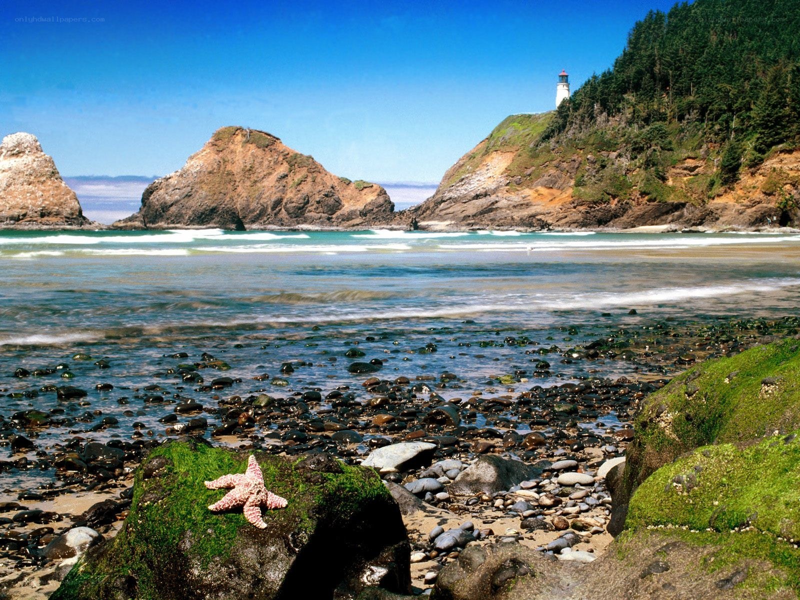 lighthouse on rocky coast