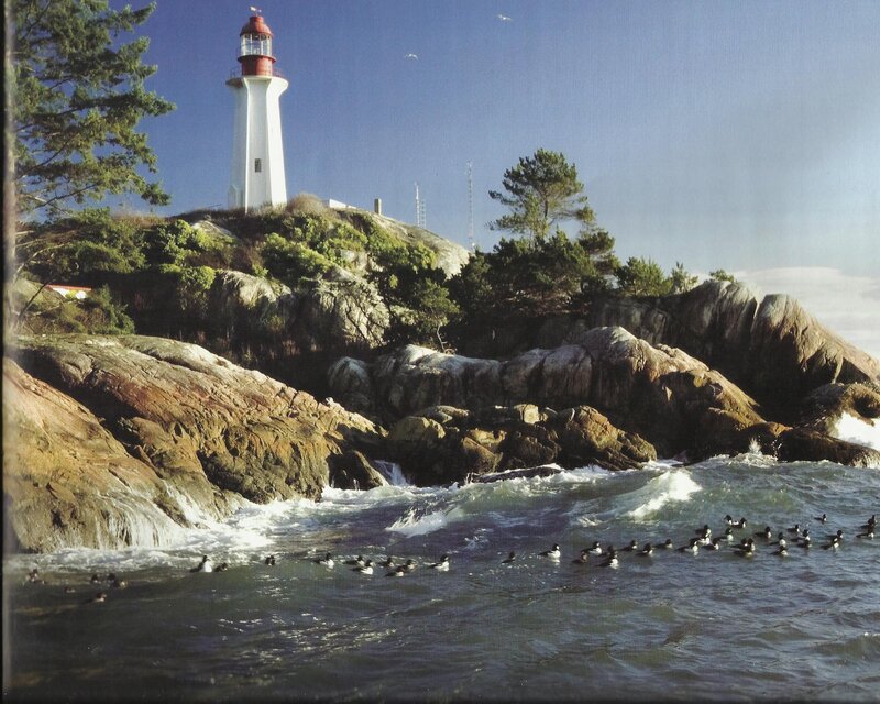 Lighthouse on Rocky Coast — Blue, Serene, Afternoon, Photograph, Birds