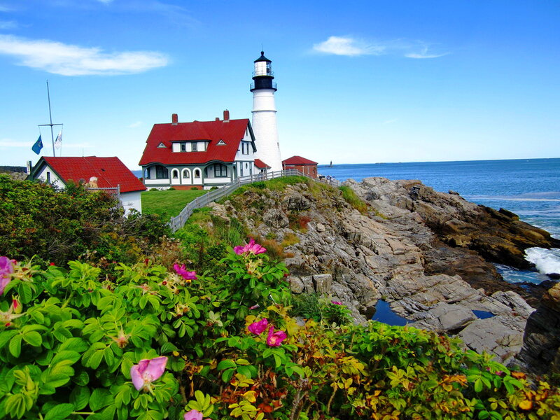 Lighthouse on Rocky Coast — Blue, Serene, Afternoon, Photograph, Flowers