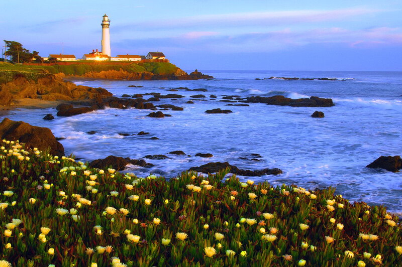 Lighthouse on Rocky Coast — Blue, Serene, Sunset, Photograph, Ocean, Flowers