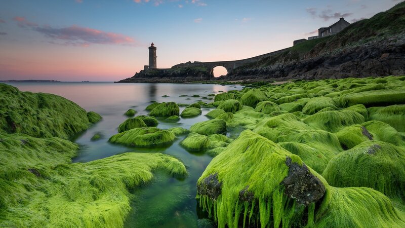 Lighthouse on Rocky Coast — Green, Serene