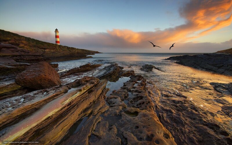 Lighthouse on Rocky Coast — Orange, Serene, Sunset, Photograph, Birds