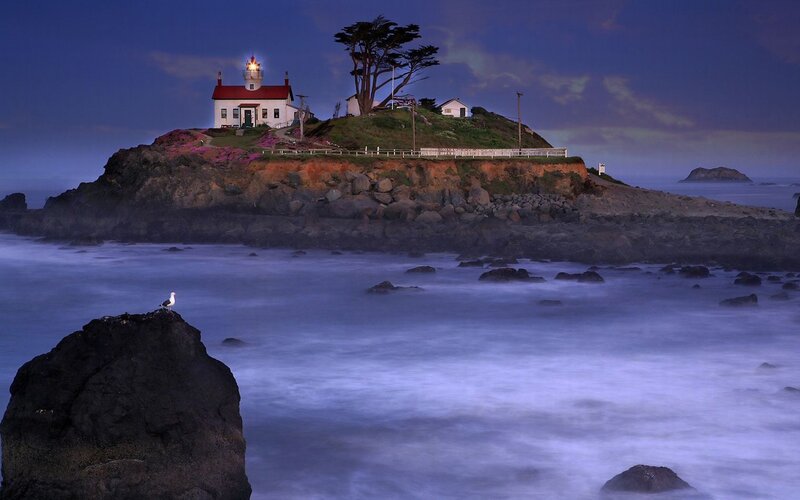 Lighthouse on Rocky Island — Blue, Serene, Night, Photograph, Seagull