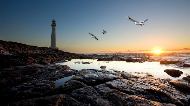 Lighthouse on Rocky Shore — Blue, Serene, Sunset, Photograph, Seagulls