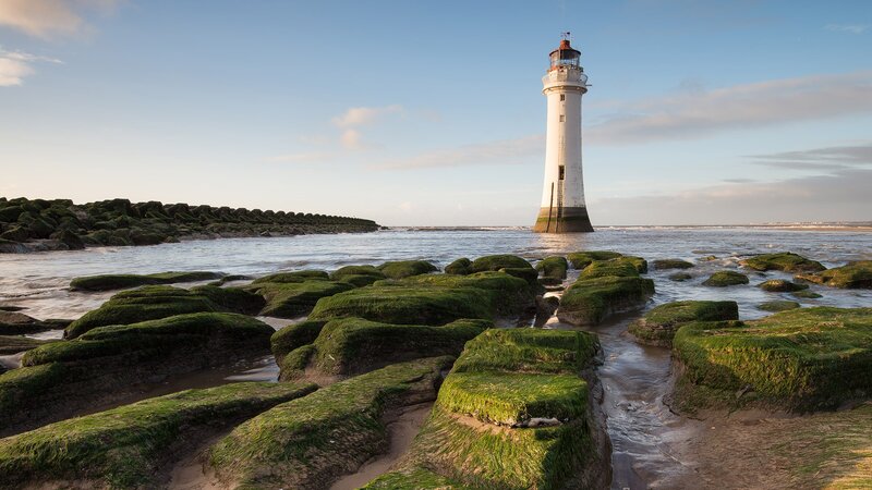 Lighthouse on Rocky Shore — Green, Serene
