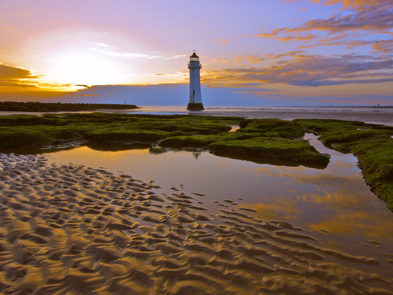 Lighthouse on Rocky Shore — Purple, Serene