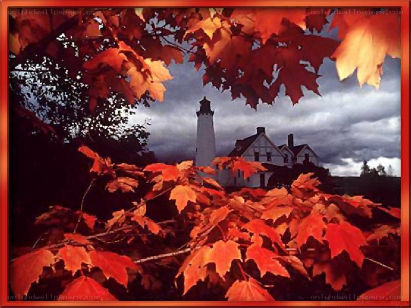 Lighthouse through autumn leaves