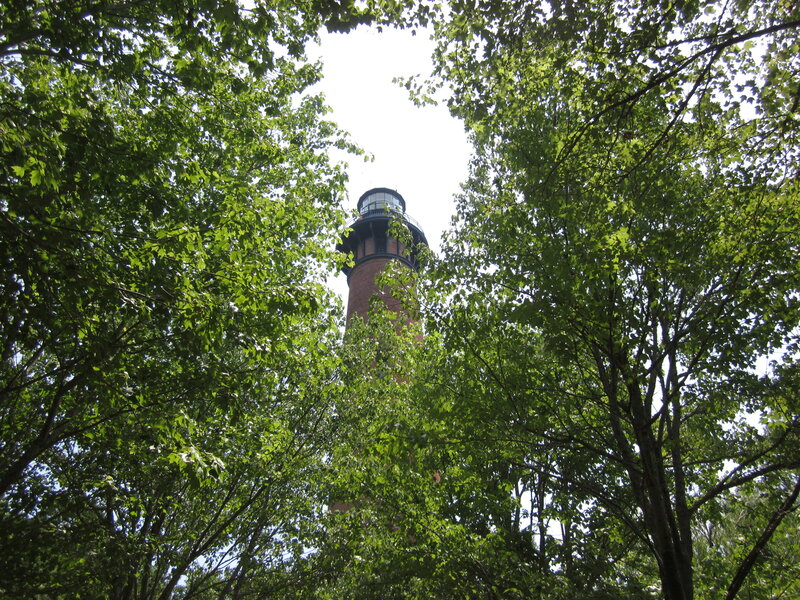 Lighthouse Through Trees