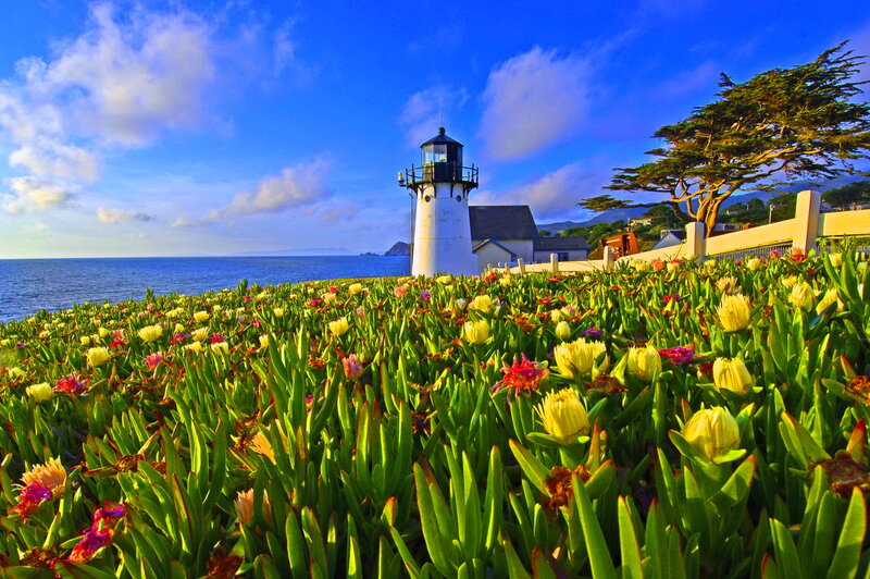 Lighthouse with Flowers — Blue