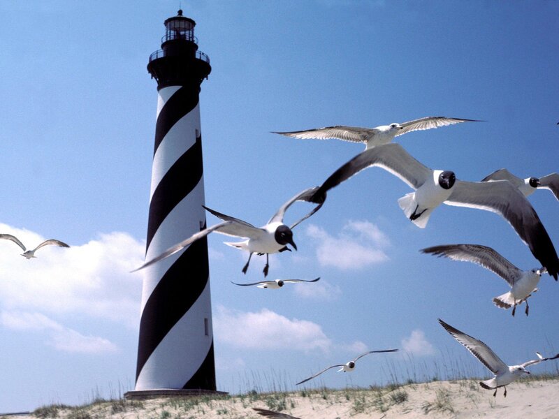 Lighthouse with flying seagulls