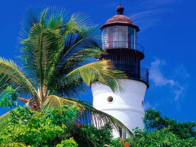 Lighthouse with Palm Tree — Blue, Serene