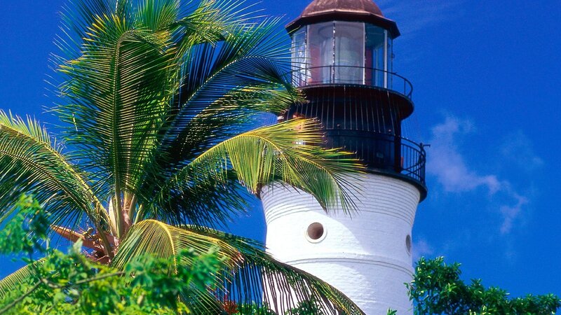 Lighthouse with Palm Tree — Blue