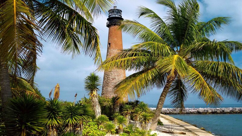 lighthouse with palm trees