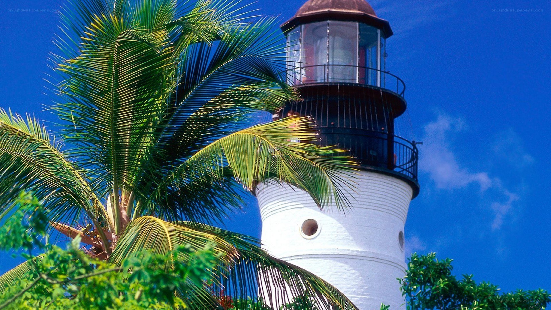 lighthouse with palm trees