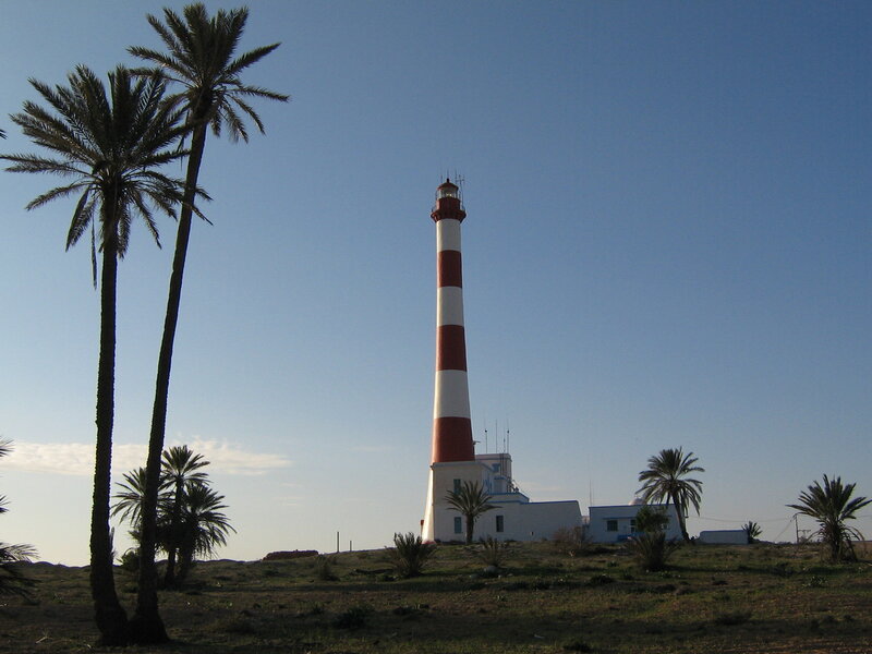 Lighthouse with Palm Trees — Blue, Serene