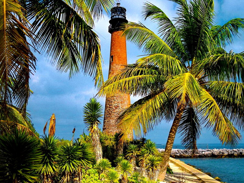 Lighthouse with Palm Trees — Blue