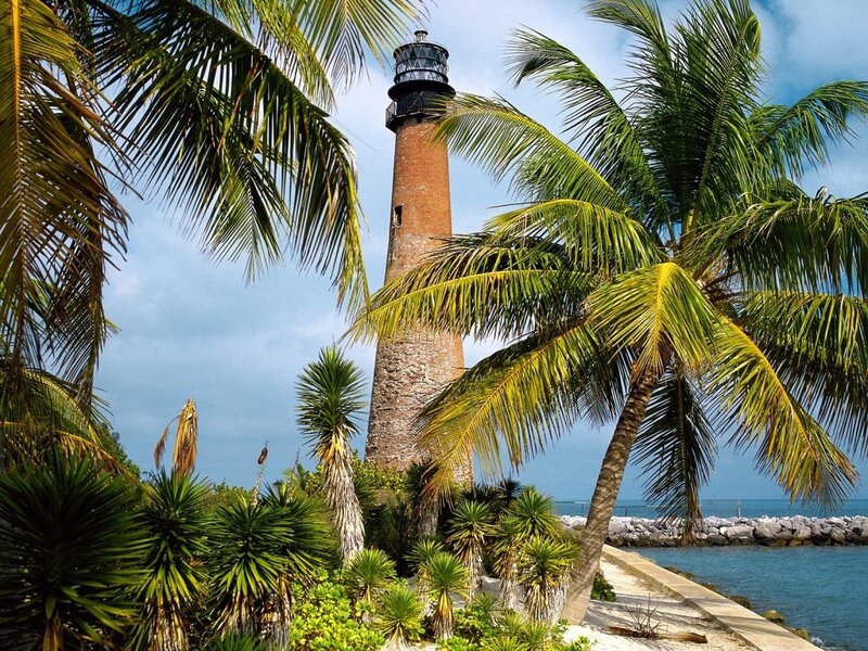 Lighthouse with Palm Trees — Green, Serene, Afternoon, Photograph, Palm Trees
