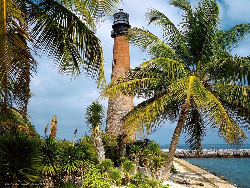 Lighthouse with palm trees