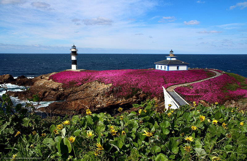 Lighthouse with pink flowers
