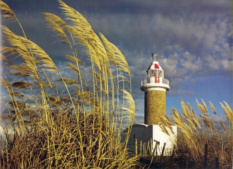 Lighthouse with Reeds