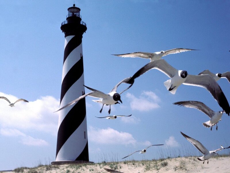 lighthouse with seagulls flying