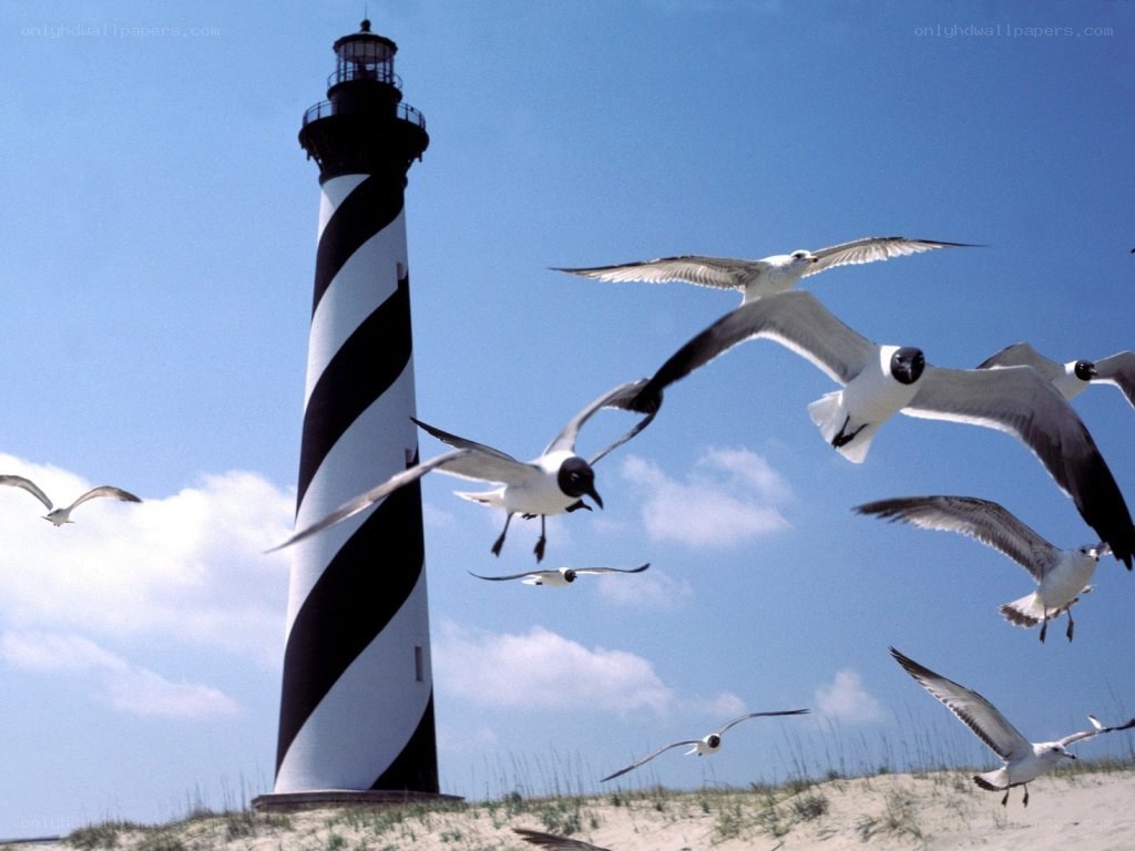 lighthouse with seagulls flying
