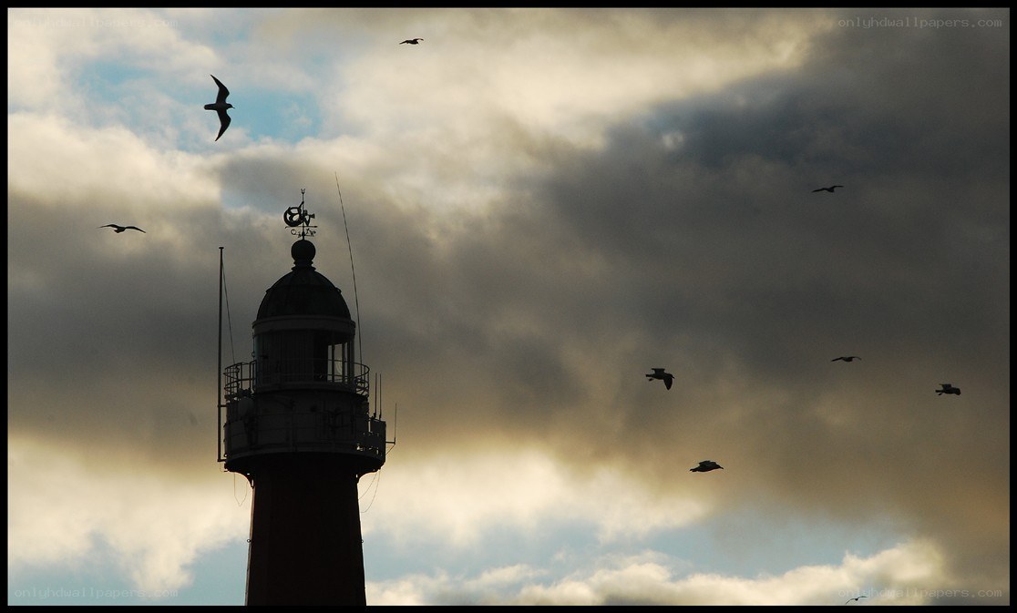 Lighthouse with seagulls