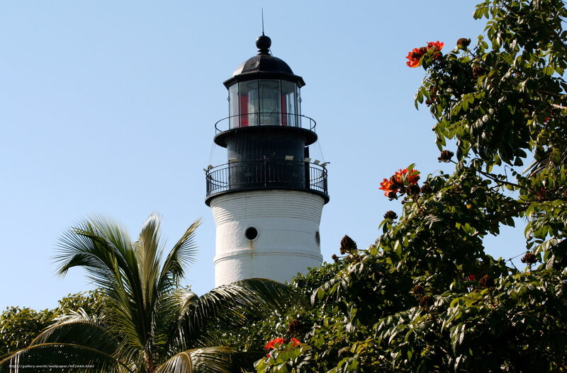 lighthouse with tropical foliage