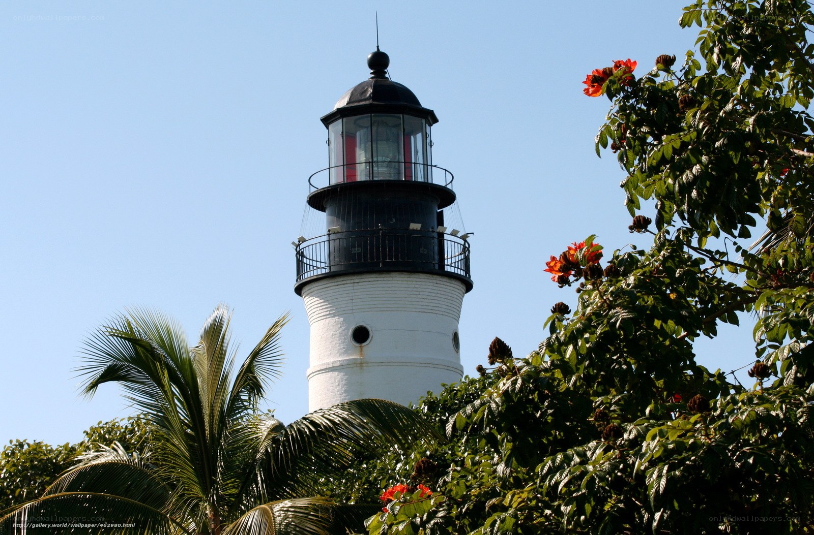 lighthouse with tropical foliage