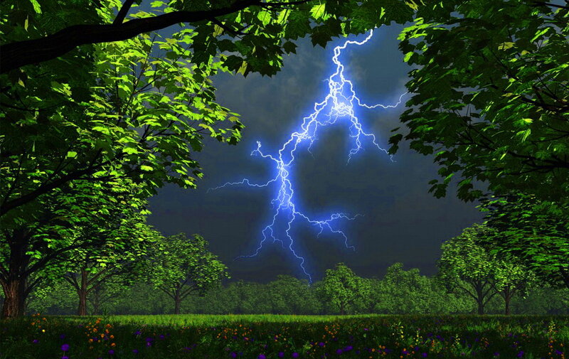 Lightning Bolt in Forest — Green, Dramatic