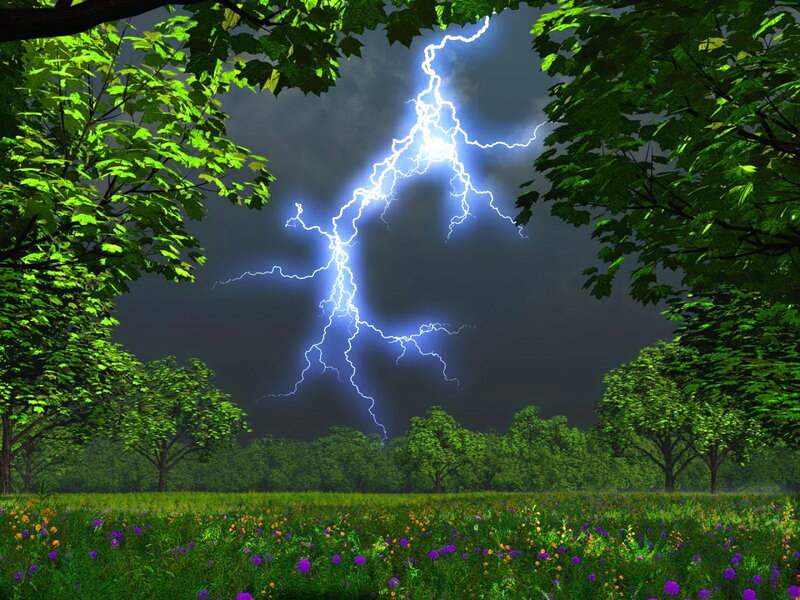 Lightning Bolt in Forest — Green
