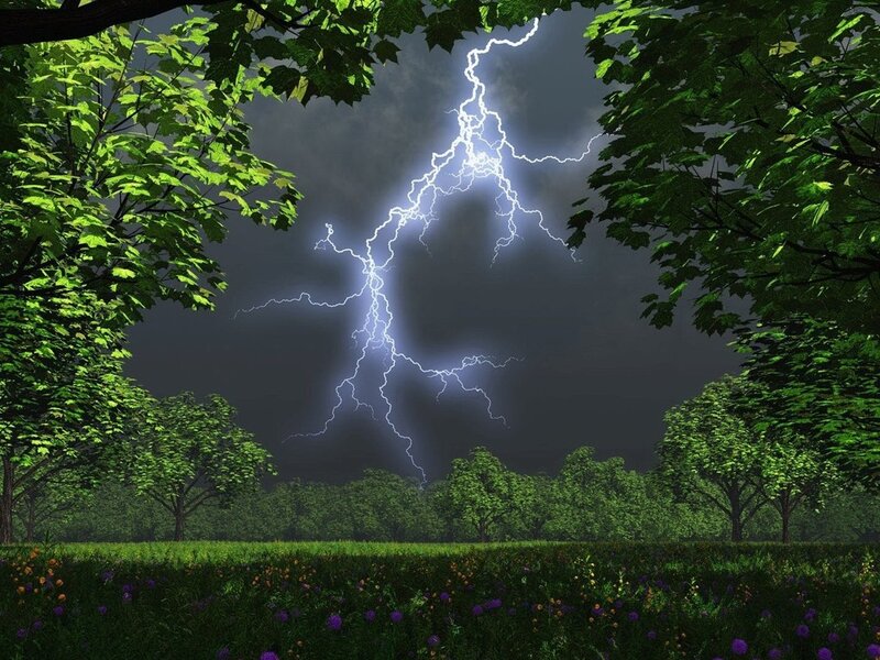 Lightning Bolt in Forest