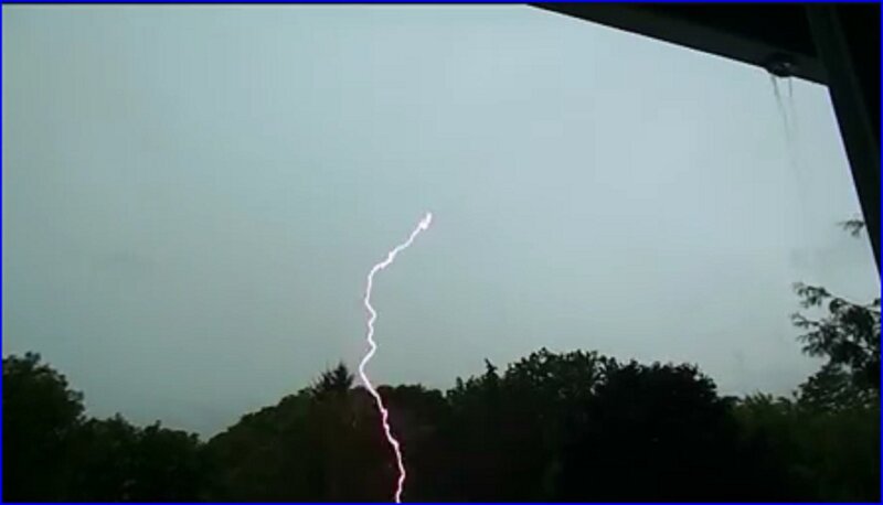 Lightning Bolt Striking Trees — Gray