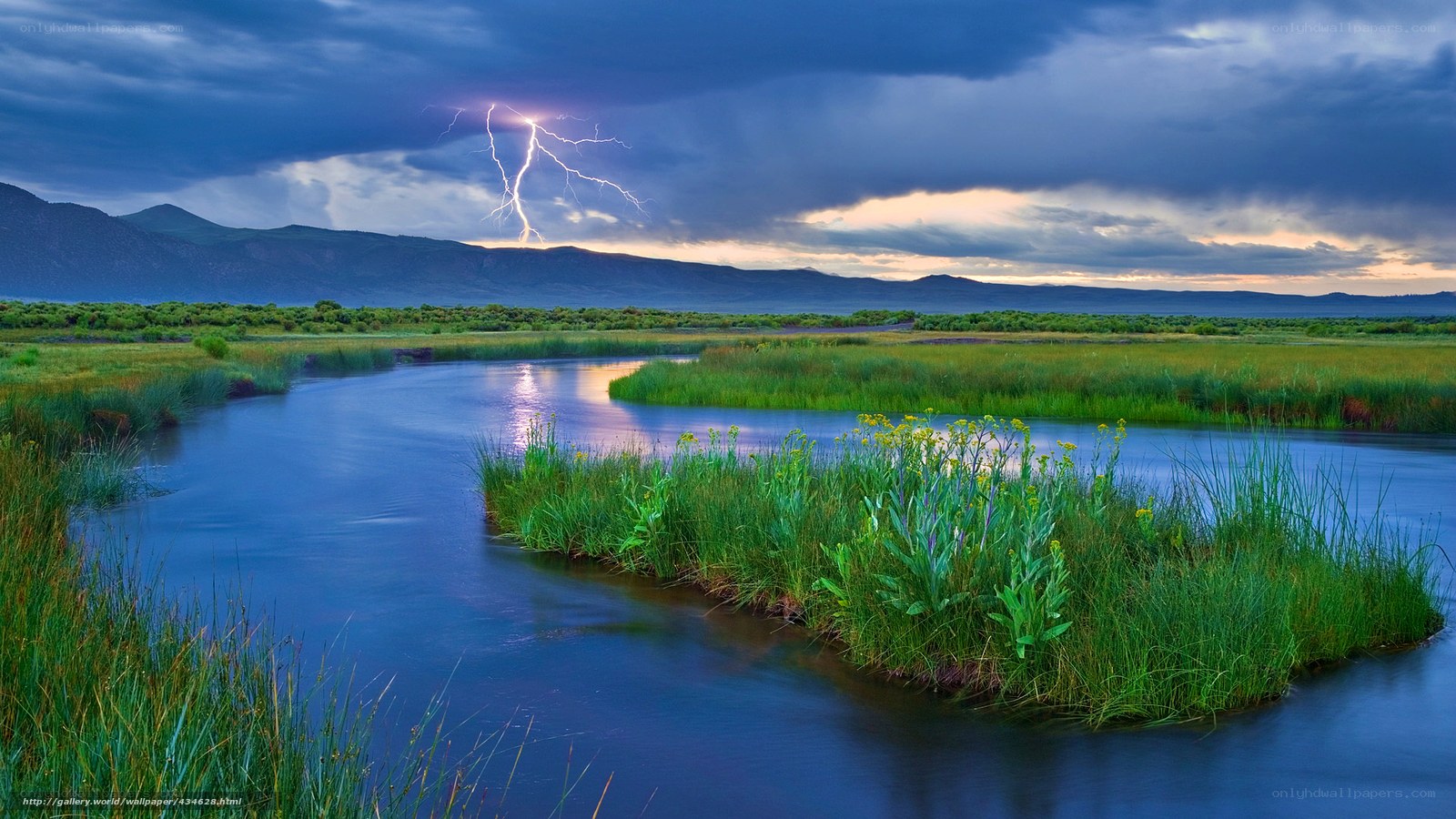 Lightning over a river marsh