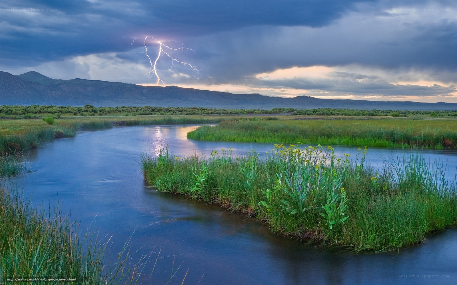 Lightning over a river marsh