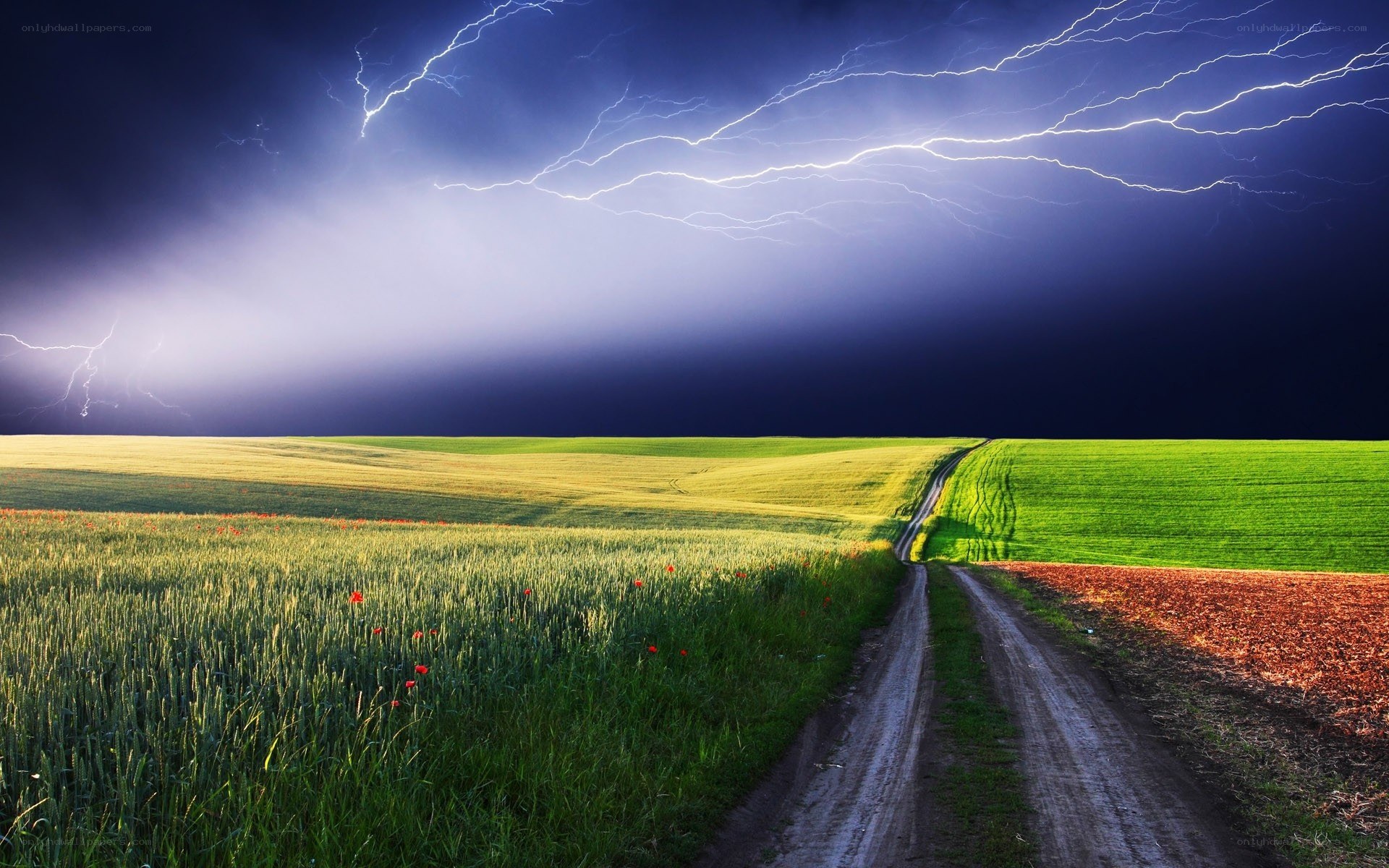 Lightning over a rural road