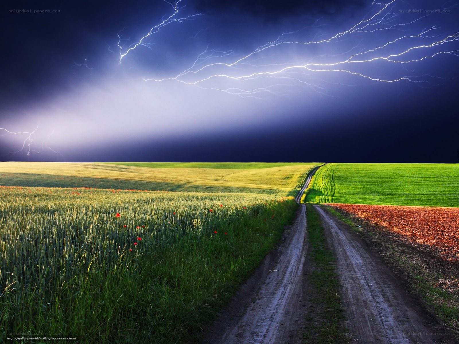 Lightning over a rural road