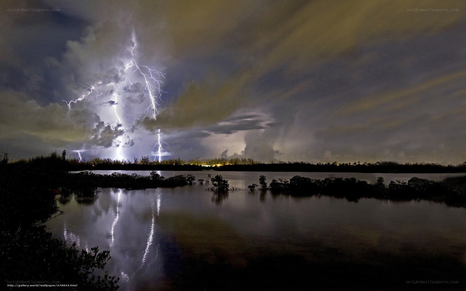 Lightning over a swamp at night