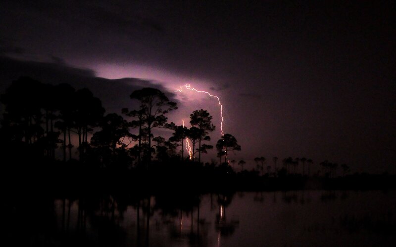 Lightning over a swamp at night