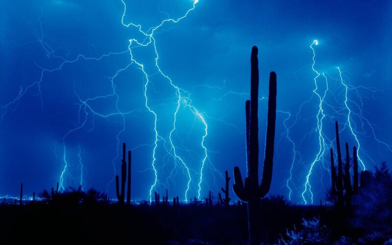 Lightning over Cacti — Blue, Dramatic, Night, Photograph, Cactus, Sky