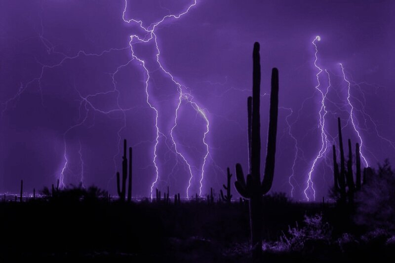 Lightning over Cacti — Purple