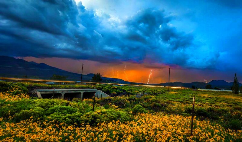 Lightning over Field — Blue, Dramatic, Sunset