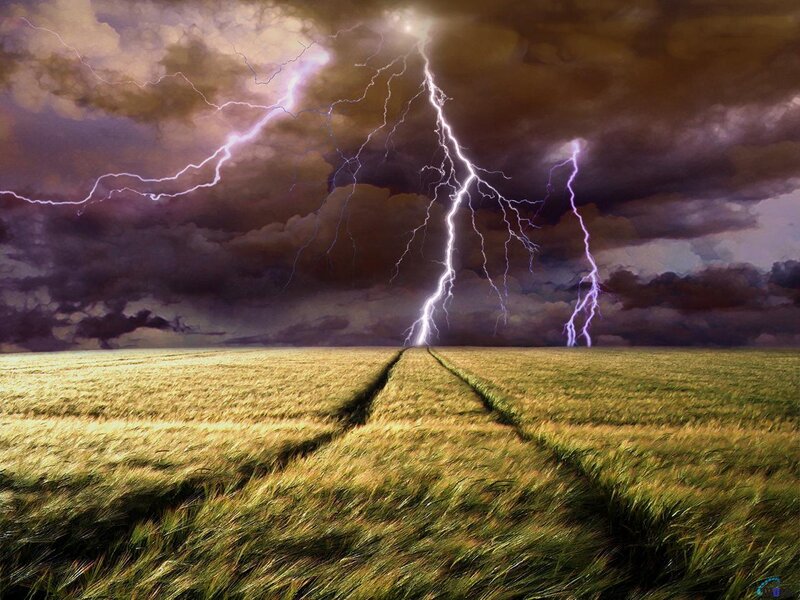 Lightning over Field