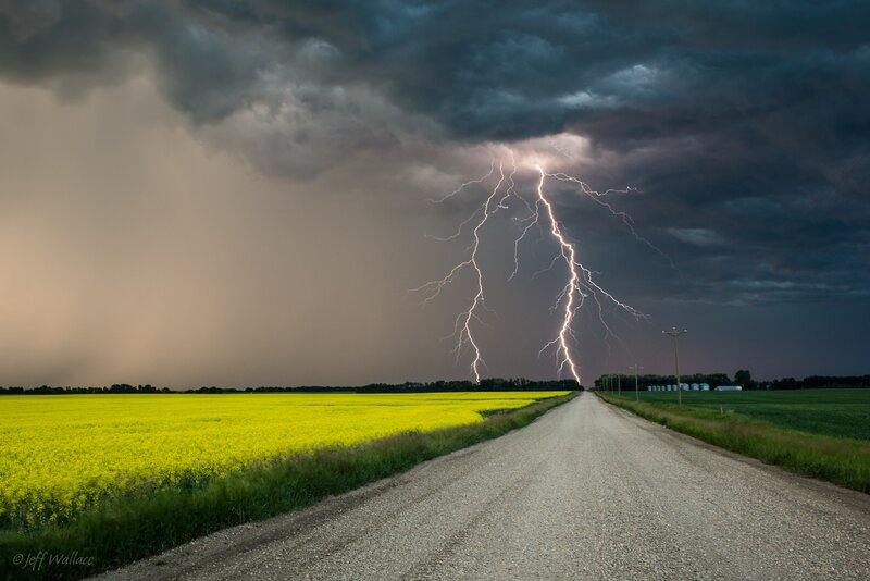 Lightning over Field — Yellow, Dramatic