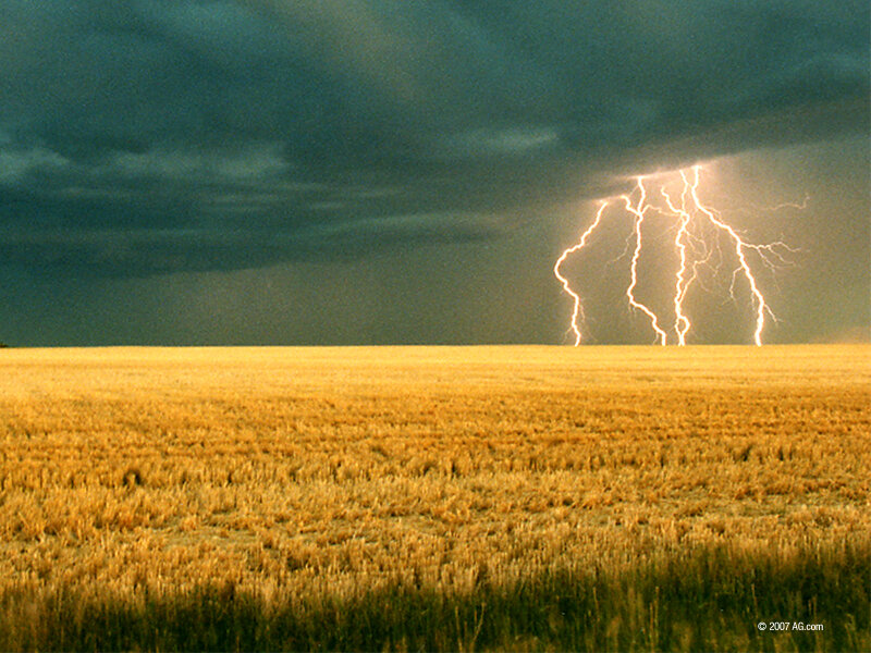 Lightning over Field — Yellow