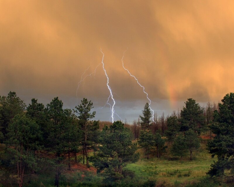 Lightning over Forest — Brown, Dramatic